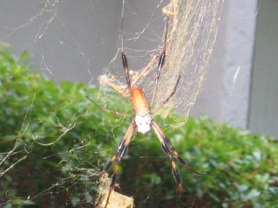 IMG_1111.JPG