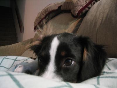IMG_1120.JPG