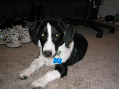 IMG_1134.JPG