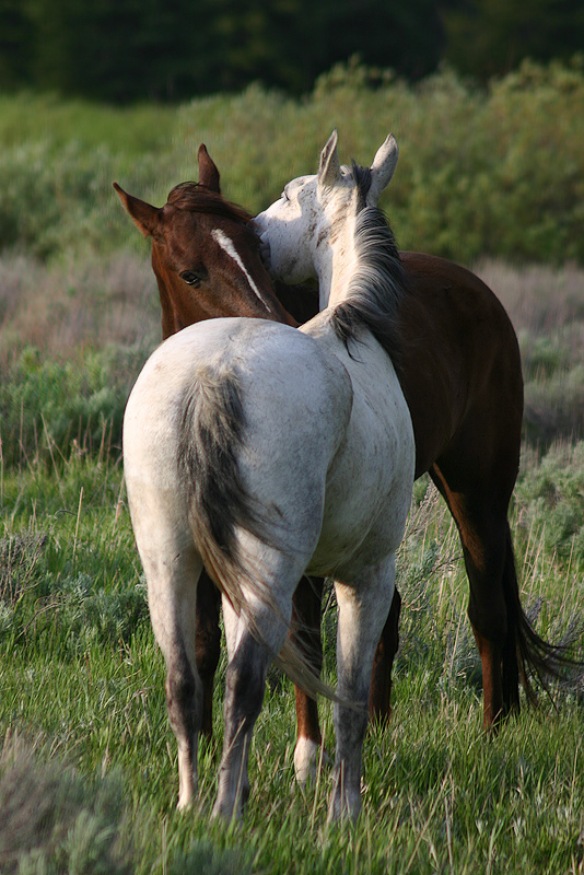 Whisper in My Ear