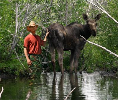Finding Moose Right