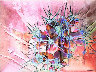 Blooming Desert