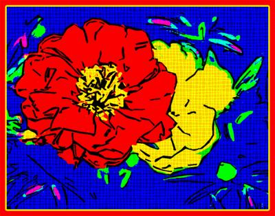 Portulaca Pop