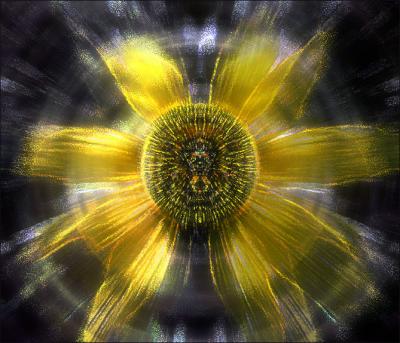 Spun Daisy