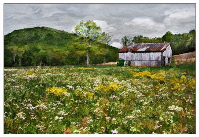 Flowery Meadow