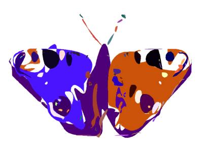 A Dozen Moths