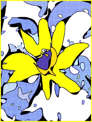Yellow Daisy