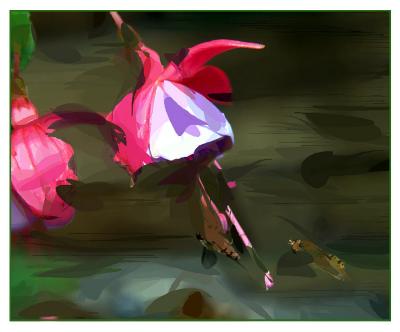 Fuschia & Bees