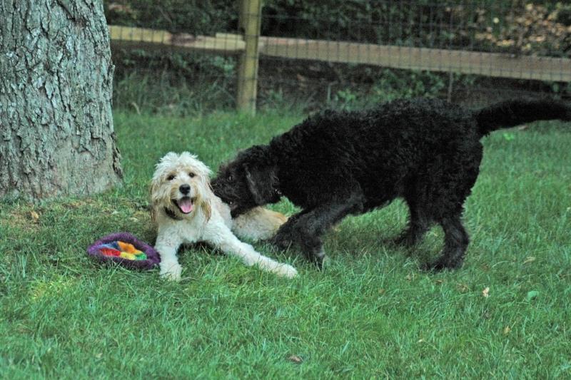 Just playing