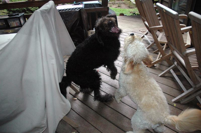 Sharing a good laugh