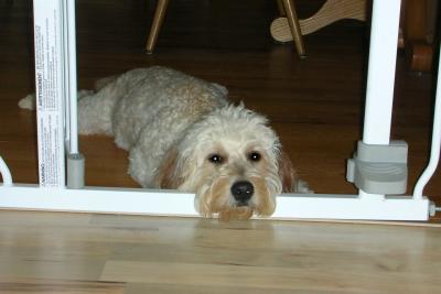 The gate's open.  Why aren't you coming in?
