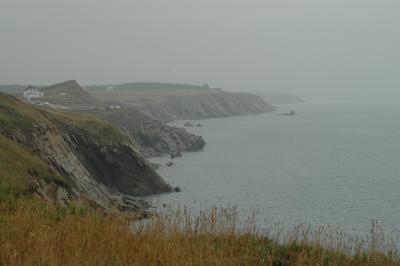 Foggy coastline