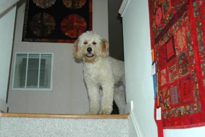 Kona:  so nice to come home to. . .