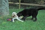 Just playing