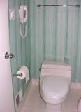 The toilet - to be saved and reinstalled