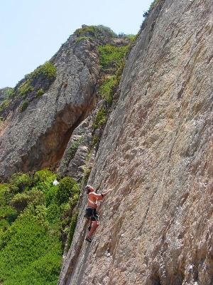 Wall Climber