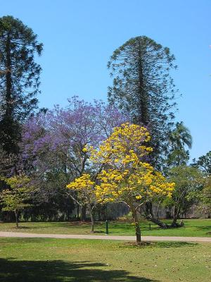 Queensland Botanical Gardens