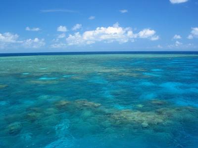 At the Reef