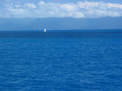 Lone Sailor