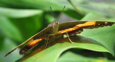 Poised for Takeoff