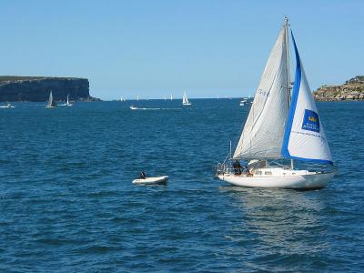 On the Manly Ferry