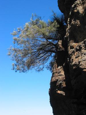 Precarious Hold