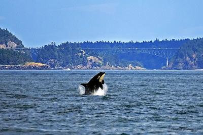 Deception Pass Breach