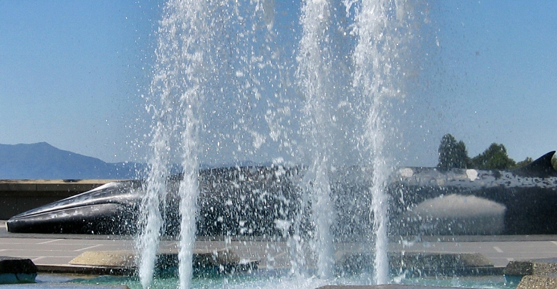 Lawrence Hall of Sciences whale behind fountain