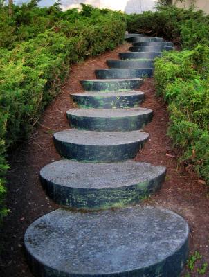 Stairs - Berkeley Hills