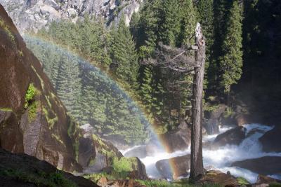 Rainbow IMG_7261