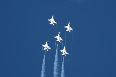 v3/97/326897/3/48261511.100EOS1D3D9F1350_3D9F1350.jpg