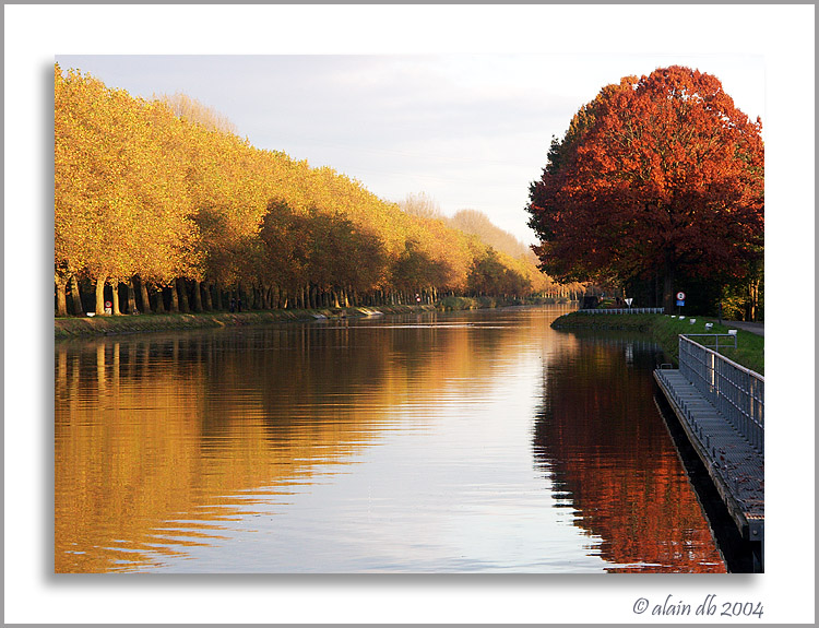 MC71 Reflections: Fall along the Canal ~ alain db