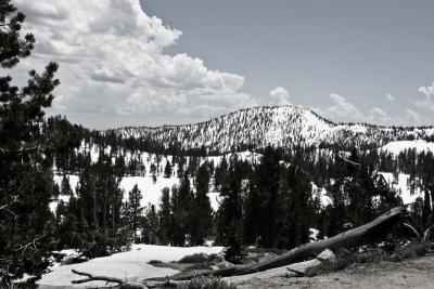 Spring in the Sierra Nevada by len_taylor