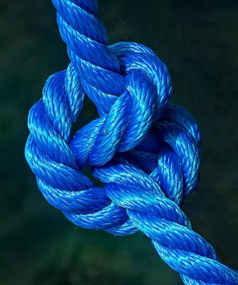 Blue Knot by Peter Thorup