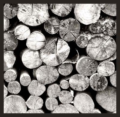 A Pile of Wood ~ alain db