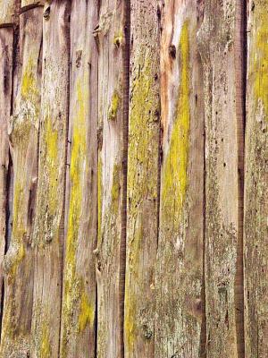 Old Siding - by Ransom