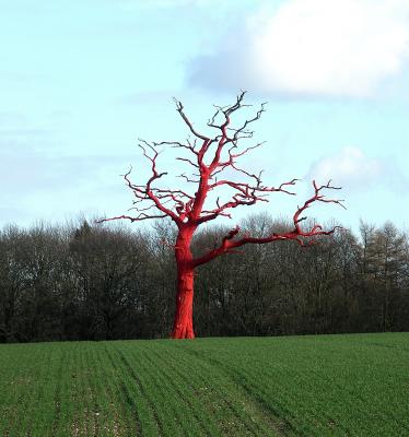 Red Tree by Chris Gregory