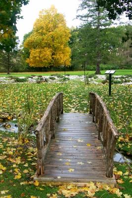 Autumn Bridge by Morey