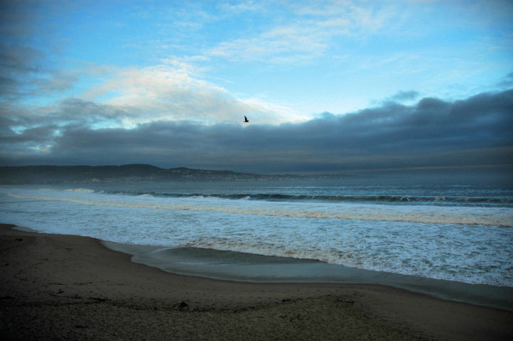 Monterey Bay view