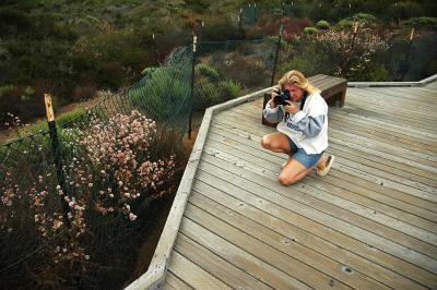 Photography in the Elfin Forest.