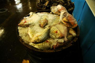 Port San Luis fish market