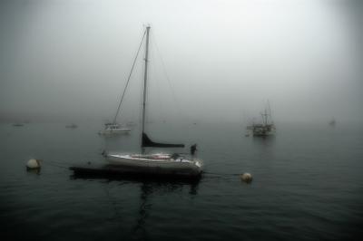 DSC_5545b.jpg