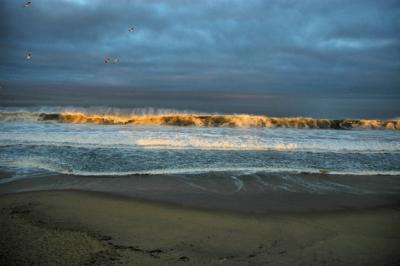 Morning light at Monterey Bay