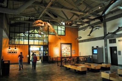 Monterey Bay Aquarium Interior