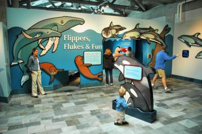 Children's Display at the Monterey Bay Aquarium