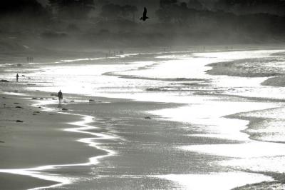 Seaside Beach in Monterey