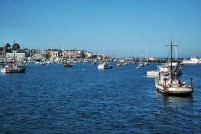 Monterey Bay Harbor boats
