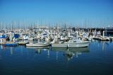 Monterey Bay Harbor boats