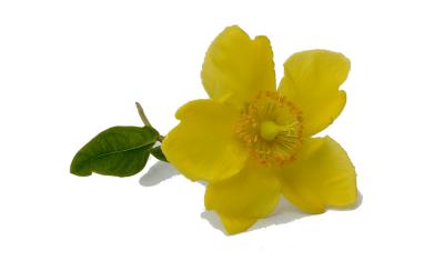 A simple beauty