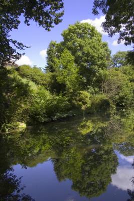 Canal reflection